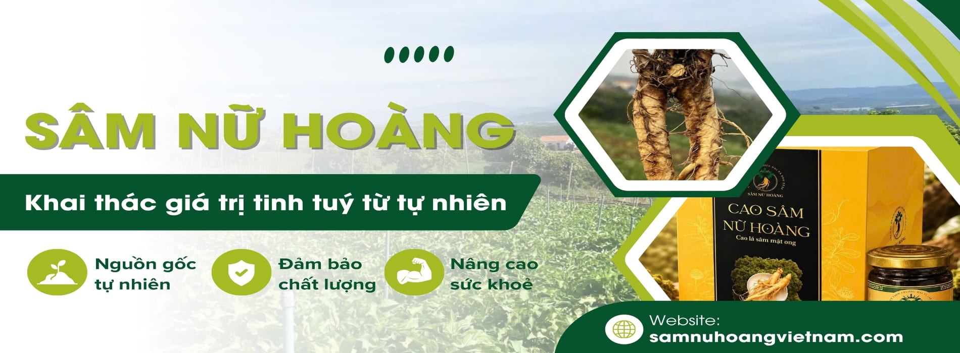 Sâm nữa hoàng đà nẵng