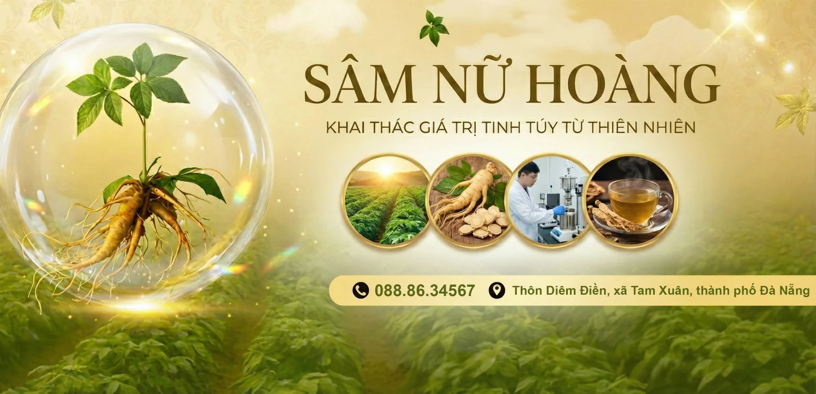 Sâm nữa hoàng đà nẵng